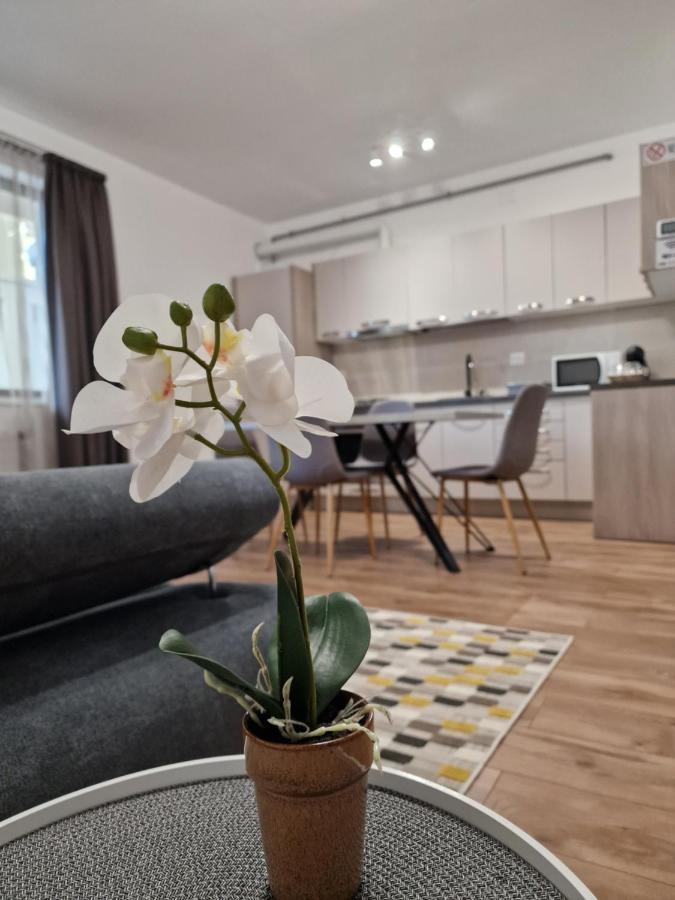Vic Apartament Drobeta Turnu Severin Exterior photo